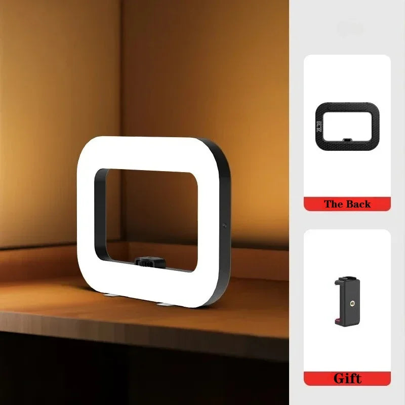 20W Handheld LED Fill Light with 8000mAh Battery